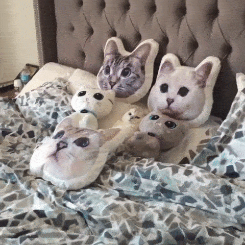 Cat-shaped pillows with cat lying between them