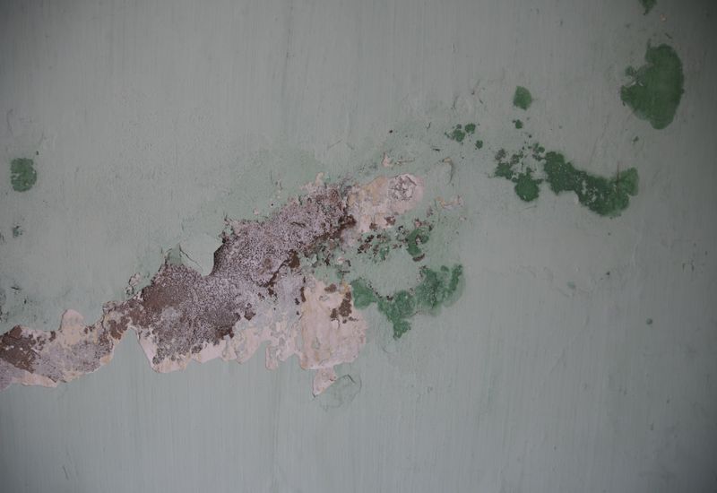 A mould damaged wall with the paint peeling