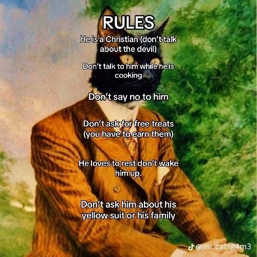 the rules of Mr Cat's game